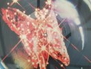 Mercury Rev See You on the Other Side LTD to 500 Pic Disc BBQLP176P 1995