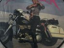 metallica angels from hell picture disc