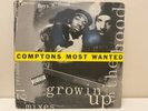 Comptons Most Wanted Growin' Up In The Hood 12