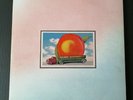 The Allman Brothers Band's 1975 'Eat a Peach Album' Condition VG+