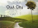 Owl City - ALL THINGS BRIGHT AND BEAUTIFUL - Vinyl 2 LP - NEW & SEALED  Rare