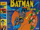 SENSATIONAL GUITARS OF DAN & DALE: batman and robin TIFTON 12
