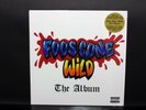 Foos Gone Wild The Album with Estevan Oriel poster