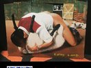 NOFX – Eating Lamb -  USA press Sealed
