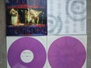 Temple Of The Dog - Purple Etched 12