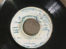 NINEY THE OBSERVER - One Train Load Of Dub, original 7” vinyl reggae  Ja ‘78