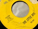 Garage 45 -The Little Bits - 