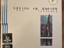 Guided by Voices Bee Thousand Clear Vinyl LP Newbury Comics Limited Edition