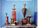 Jimmy Eat World - Bleed American (Gatefold Vinyl)
