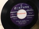 The Diablos 45 Fortune 509 Adios, My Desert Love / An Old Fashioned Girl  NM