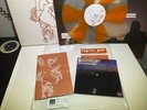 Tigers Jaw S/T Self Titled Vinyl LP 10 Year Anniversary Zine Flexi Tour Edition