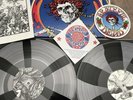 Grateful Dead Skull & Roses Color Vinyl 180 Gram Pinwheel Record Live Dead Co