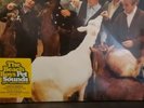 THE BEACH BOYS #ed PET SOUNDS 40th Anni RECORD Mono & Stereo VINYL 2 Lp SEALED