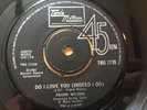 Frank Wilson Do I Love You Northern Soul 45rpm