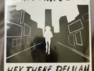 Plain White T’s Hey There Delilah 7” Vinyl