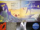ZZ TOP TEJAS LONDON GP-1050 Japan POSTER VINYL LP