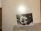 fleetwood mac tusk vinyl lp album record nrmnt