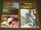 Sonic Youth Sister Vinyl LP Record  1987