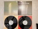 Sonic Youth Daydream Nation 2x Vinyl LP's Blast First BFFP34 1988