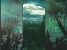 IF THESE TREES COULD TALK - Above The Earth Below The Sky (remastered) - LP