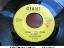 SANDPIPERS 'Lonely Too Long + I Really Love You' EX ORIGINAL northern soul 45