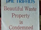 The Triffids - Beautiful Waste / Property is Condemned 7