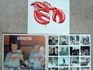 THE UNDERTONES HYPNOTISED Original 1980 LP – Vinyl Near Mint NM condition
