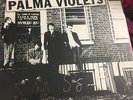PALMA VIOLETS 180 VINYL LP RECORD MINT NEW SIGNED FULLY SAM CHILI PETE WILL