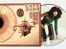 Kate Bush - The Kick Inside (Picture LP, Rare, Limited Edition)