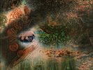 PINK FLOYD A Saucerful of Secrets LP VINYL UK Columbia 1968 7 Track Vinyl LP