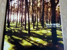 SIX BY SEVEN - 