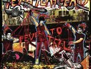 IN HAND  Yeah Yeah Yeahs - Fever To Tell LP