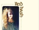 Gary Higgins-Red Hash VINYL NEW