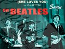 60S US MERSEY BEAT SWAN DIE BEATLES SIE LIEBT DICH  SHE LOVES YOU PICTURE SLEEVE