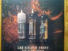 lee scratch perry back on the controls 12