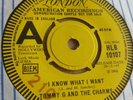 Tommy G and the Charms - I Know What I Want - 1967 UK London HLB 10107 NOR Demo