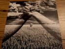 Pink Floyd The Later Years Box Set Item - Lost for Words Etched 7 inch Vinyl