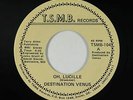New Wave Synth 45 - Destination Venus - Oh, Lucille - T.S.M.B. - VG+ mp3