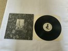 Flux of Pink Indians-Strive To Survive...L.P,(Punk/Crass/Anarcho Amebix/System