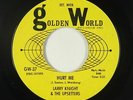 Garage 45 - Larry Knight & The Upsetters - Hurt Me - Golden World - mp3
