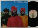 Abyssinians 