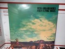 Noel Gallagher’s High Flying Birds Man Who Built the Moon Picture Disc LP SEALED