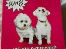 Slaves, Are You Satisfied? vinyl LP in embossed sleeve, 2015