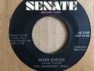 The BASEMENT WALL ?– Never Existed / Taste Of A Kiss RARE 60's Killer GARAGE