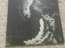 Groundhogs; Split; Liberty, OG WLP; White Label PROMO; IMPORT; JAPAN; Gatefold