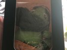 Aesop Rock Long Legged Larry Plush Frog Stuffed Toy Jeremy Fish