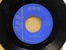 The Illusions garage rock 45 Her Own Way bw Impossibilty on Cha CHa