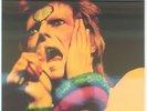 DAVID BOWIE-From The Victoria Hall Archives 2LP
