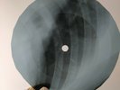 BOBBY GOLDSBORO ROSES ARE RED X-Ray USSR Record Roentgen Bone Ribs Music Vinyl