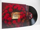 THE STRANGLERS no more heroes (1st uk press) LP EX/EX, UAG 30200, vinyl, album,
